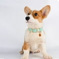 thumbnail image 2 of Jinsinto Collier pour Chien, Cuir, Collier pour Chien Réglable Coussin Doux en Cuir pour Petit, Rose, S, 2 of 5