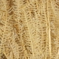 thumbnail image 4 of Vickerman 26" Bleached Fern - Andares, 4 oz per pack, Dried, 4 of 6