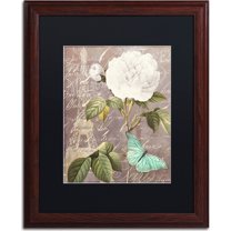 Trademark Fine Art "White Rose" Canvas Art by Color Bakery, Black Matte, Wood Frame