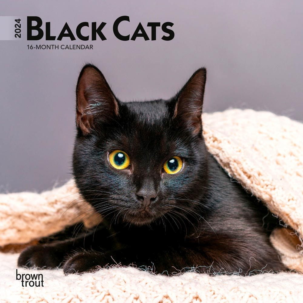 Browntrout, Black Cats 2024 Mini Wall Calendar