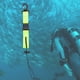 thumbnail image 3 of 2x Cámara de buceo, correa de cordón antipérdida, cuerda elástica con hebilla de liberación rápida para herramienta de pesca de buceo submarin Sunnimix Clip de cordón de buceo, 3 of 8