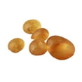 thumbnail image 5 of BQLZR Colle Animale Ambre 60G pour Guitare, Luthier, Colle pour Cuir pour Facteur de Violon, 5 of 5