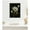 Beaded White, variant on Kate and Laurel Moody Floral 2 Framed Canvas Wall Art by Annie Quigley 18 x 24 Sylvie Beaded Dark Gold, Modern, Flowers, Nature Art for Wall Decor, Living Room, Bedroom
