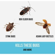 BUGG Bug Slayer Concentrated Insect Killer - Insecticide Concentrate - 8 Oz