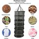 thumbnail image 2 of Folding Dry Rack Drying Net- 6 Layers, 2 of 5