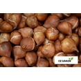 thumbnail image 4 of Apricot Impression tulip -50 Bulbs, 4 of 5