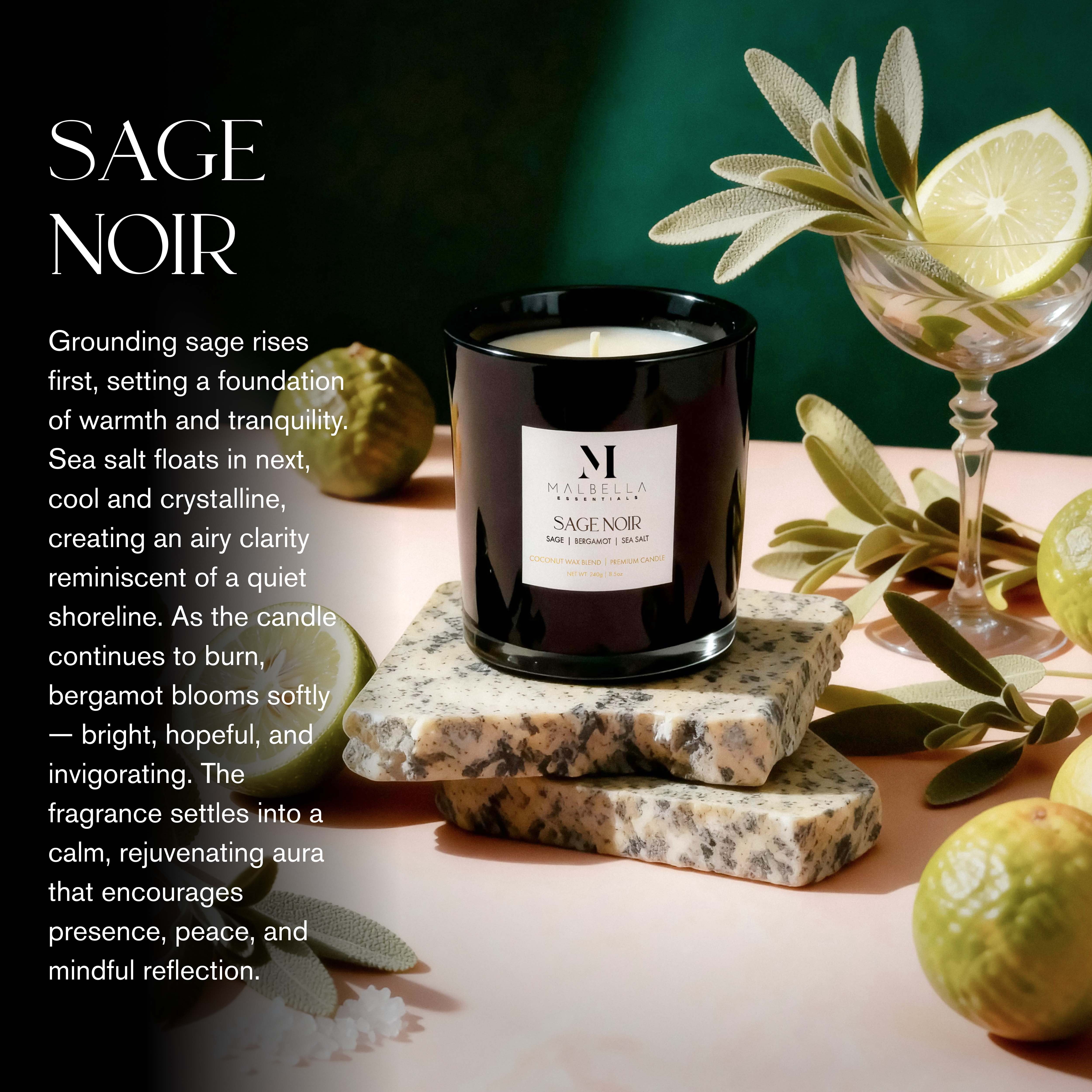 Malbella Essentials Sage Noir Scented Coconut Wax Blend Candle with 50 Hr Burn Time, Modern Self-Care, Gift-Ready Glossy Glass Vessel