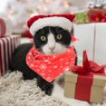thumbnail image 1 of Toalla navideña para perro, bufanda, copo de nieve, caramelo, estampado navideño, lindos suministros festivos para mascotas., 1 of 3