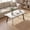 Marble White, variant on Manora Small Coffee Table for Living Room, Modern White Coffee Tables with Golden Metal Legs for Home Office