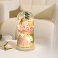 thumbnail image 6 of AuroraX Valentines Day Tabletop Pink Preserved Rose Flower Bouquet In Glass Dome Decorative Love Romantic Night Light Decorations for Home Party Anniversary Valentine'S Day Gifts for Him Her Couples, 6 of 6