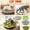 cat toys for indoor cats, variant on Interactive Indoor Cat Toys Puzzle Set, Squeaky Teaser Box With Track Ball & Scratching Surface, Stimulating Exercise Toy For Cats To Reduce Boredom & Stress