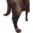 thumbnail image 7 of Labra Supportive Dog Rear Leg Hock Joint Wrap Brace with Metal Springs Protects Canine Wounds as They Heal Compression Brace Heals and Prevents Injuries and Sprains Helps Arthritis (Large), 7 of 7