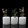 thumbnail image 1 of Flmtop 100Pcs Soilless Hydroponic Nursery Pot Sponge Vegetable Cultivation Tray, 1 of 9