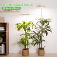 thumbnail image 2 of Plant Grow Light Full Spectrum Plant Light for Indoor Plants Brightness Adjustable LED Growing Lamp with Auto On/Off Timer H/H/H Height Adjustable Ideal for Tall Plants of, 2 of 7