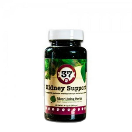 Silver Lining Herbs - Silver Lining Herbs k37c Kidney Support 37 Kidney Support