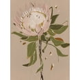 thumbnail image 2 of Urban Road 19x24 Black Ornate Wood Framed with Double Matting Museum Art Print Titled - Neutral Protea, 2 of 4