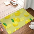 thumbnail image 5 of Balery Bright Lemons Doormat, Durable Flannel Fabric, Waterproof Stain and Fade Resistant, Low Profile,Indoor Outdoor Door Mats, Easy Clean Patio Entrance Mat, 16x24in, 5 of 9