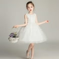 thumbnail image 4 of Robe de Princesse pour Fille, Cadeau d'Anniversaire, Robe de Demoiselle d'Honneur, Col Rond, Sans Manches, Nœud Solide, Robe de Princesse, 4 of 4