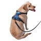 thumbnail image 2 of Fotbe Beautiful Ocean Dolphin Arnés para Perro con Estampado –Chaleco Ajustable Acolchado con Asa de Control para Perros Grandes-Small, 2 of 6