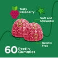 thumbnail image 7 of Viteey Kids Magnesium Gummies, Calm Magnesium Supplements, Raspberry Flavor, 60ct, 7 of 7