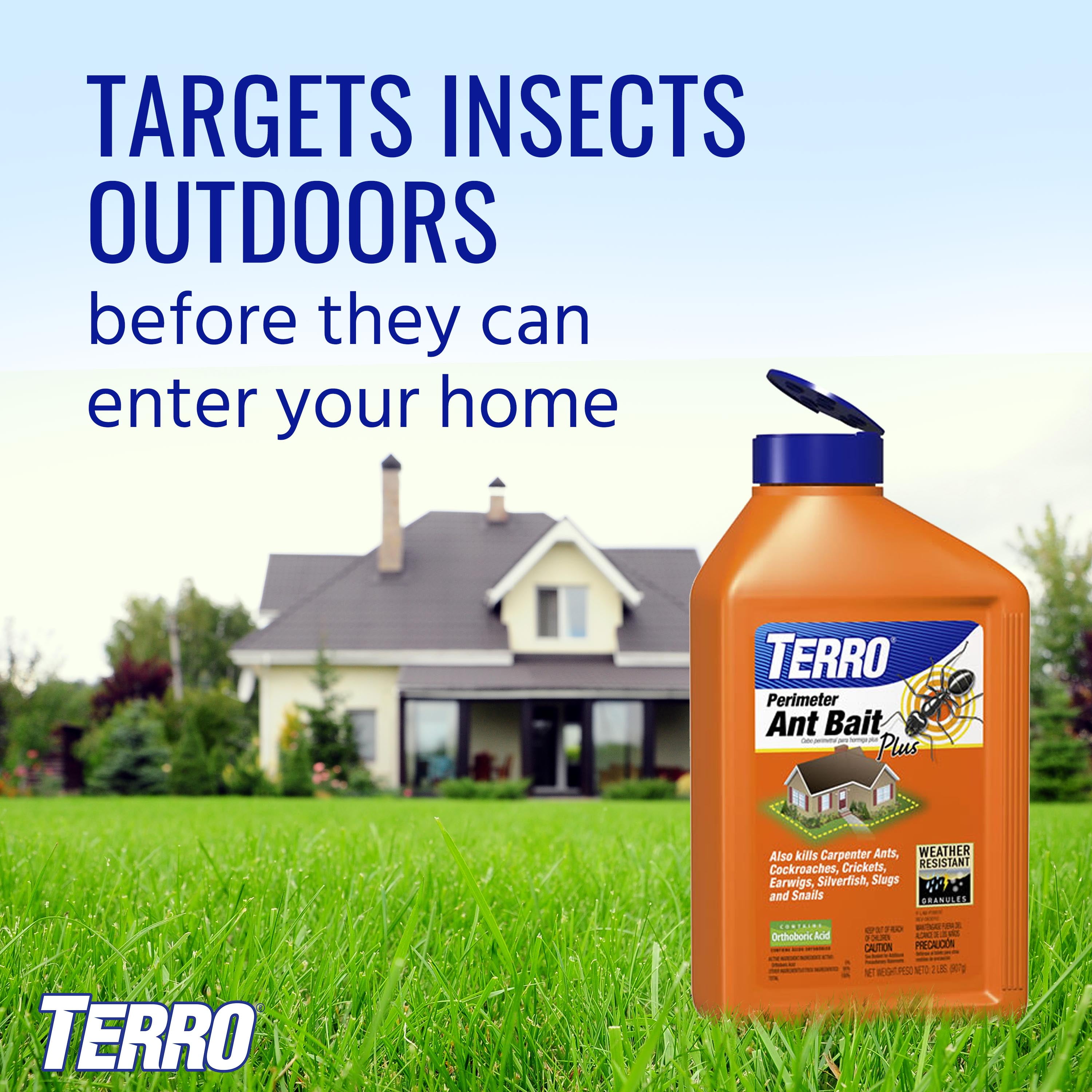 TERRO Perimeter Ant Bait Plus - 2 LB