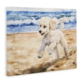 thumbnail image 2 of Stupell Industries Tropical Poodle's Journey on Beach Canvas Art, 20 x 16, by Svetlana Aleynikova, 2 of 8
