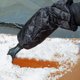 thumbnail image 3 of Pala de nieve negra + Funda de algodón Adepaton 2034416-1, 3 of 9