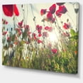thumbnail image 2 of Poppy Flowers on Summer Meadow - Floral Canvas Art Print, 2 of 3