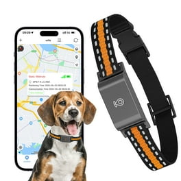 PetPace V3.0 AI Health Monitor Collar For Cats - Tracks Vital Signs 24/7, GPS, Vet Telehealth, Smartwatch Sync