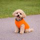 thumbnail image 5 of Jersey para perros, chaleco polar JACKO & CO, naranja, para pequeños y medianos, 5 of 8