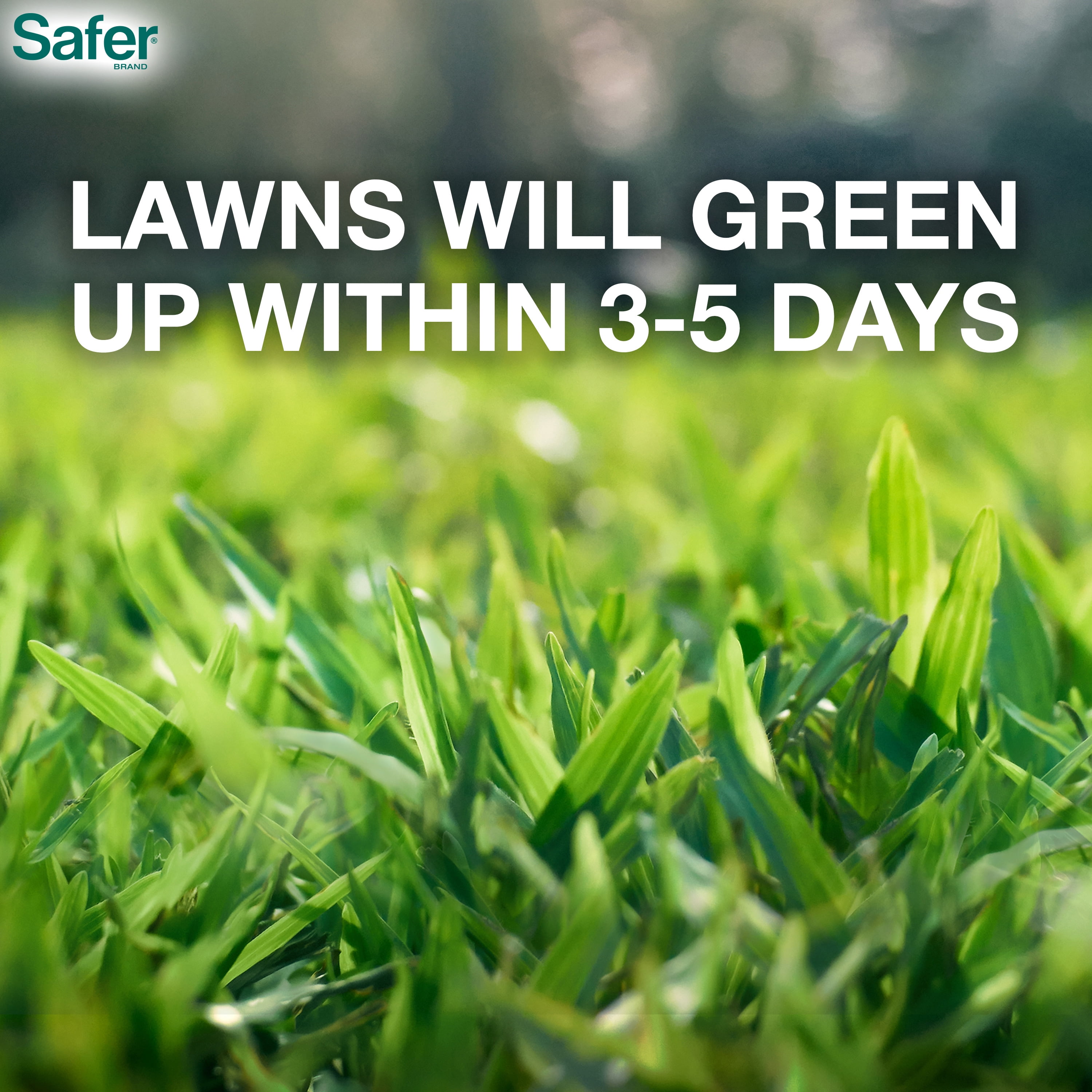 Safer Lawn Restore Lawn Food - 20 lbs.