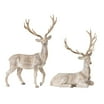 Polyresin Brown Standing Deer main image 1