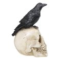 thumbnail image 6 of Myth and Legends Black Odin Raven Crow Perching On Skull Decorative Figurine, 6 of 9