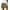 Army Green, variant on Plus Size Womens Shorts Summer Beach Shorts Casual Lightweight Elastic Waist Pocket Shorts Workout Gym Biker Short Pants for Ladies