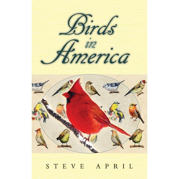 Birds In America (Paperback)