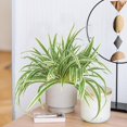 thumbnail image 4 of czcpp-2 Packs Artificial Spider Plant Large 23.6In Fake Greenery Plants UV Resistant Outside Faux Plants Bushes for Indoor Table Outdoor Planter Decor (2), 4 of 4