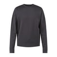 thumbnail image 5 of No Boundaries All Gender Fleece Crewneck Sweatshirt with Long Sleeves, Men's and Big Men’s, 5 of 5