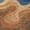 Paprika, variant on Addison Rugs Chantille Indoor/Outdoor Contemporary Abstract Basil Machine Washable Rectangle Rug, 10' x 14'