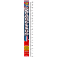thumbnail image 4 of TNT Fireworks #20 Red White and Blue Hand Held Gold Sparkler, Outdoor Party, 4 of 4