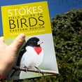 thumbnail image 2 of The New Stokes Field Guide to Birds: Eastern Region, (Paperback), 2 of 7