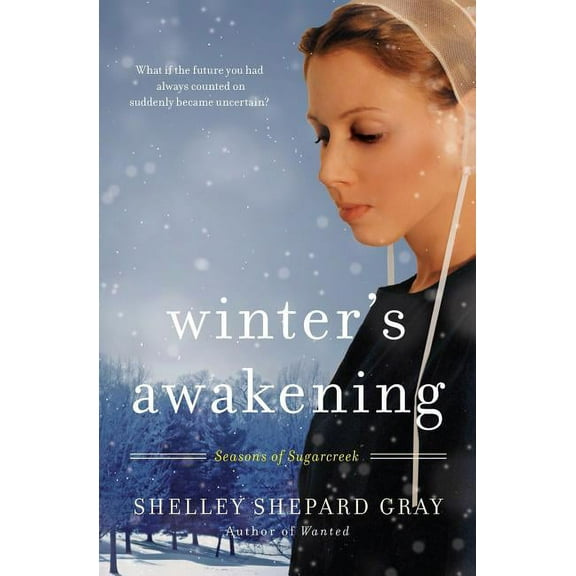 Seasons of Sugarcreek Winter's Awakening, Book 1, (Paperback)