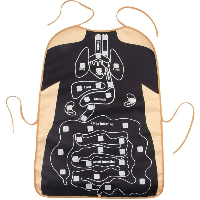 3D Organ Apron Anatomy Apron Human Body Organs Awareness