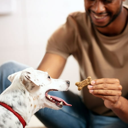 Milk-Bone Flavor Snacks Small Dog Biscuits, Flavored Crunchy Dog Treats, 7 lb. - Image 2