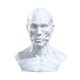 thumbnail image 3 of Cabeza Anatómicamente Molde Cabeza Molde Figura Coleccionable Pintura Referencia, Estatua Escultura Decorativa Cabeza Humana Molde Ornamento, 3 of 8
