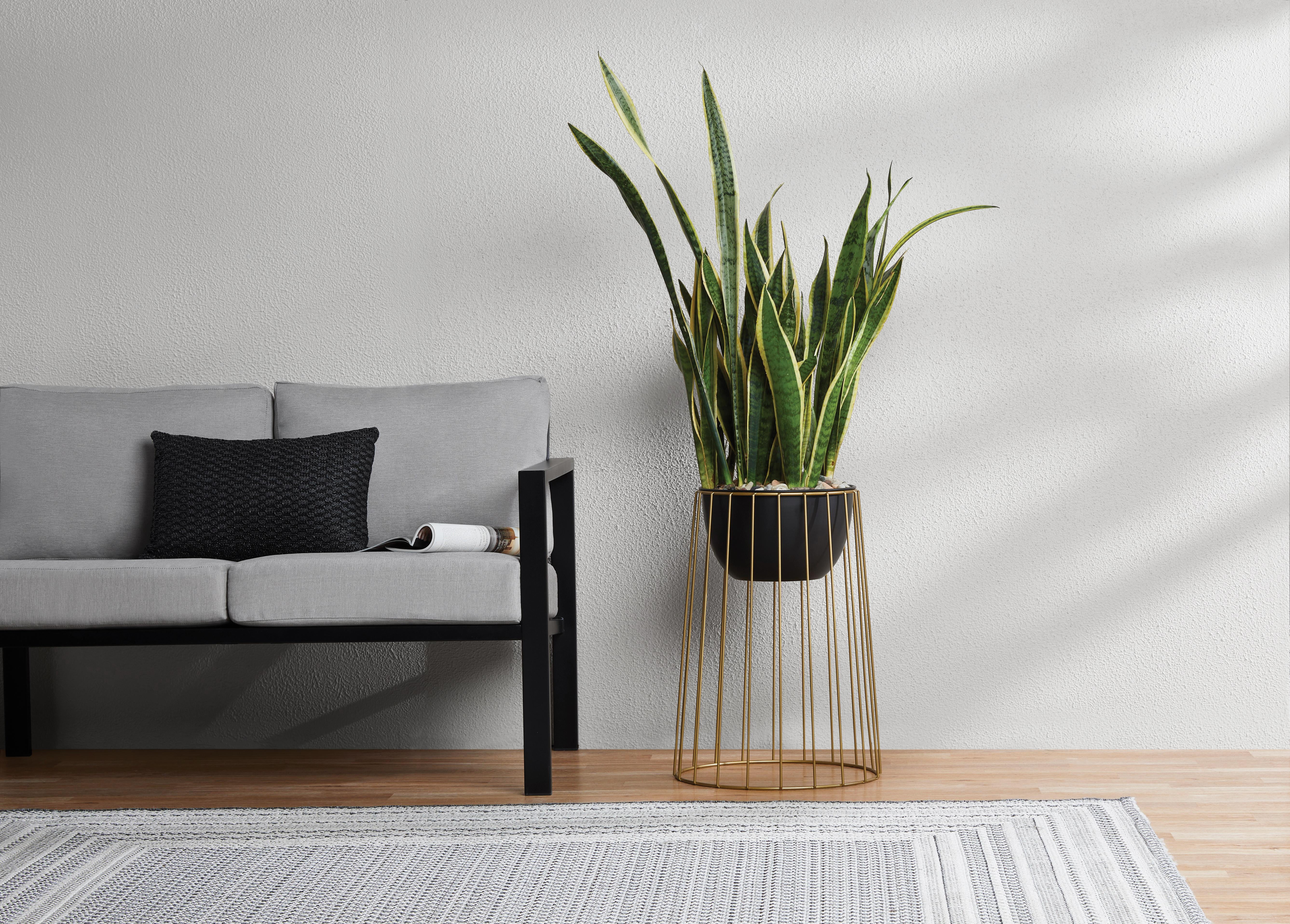 Mainstays Axel 16" x 16" x 22.25" Round Black and Gold Metal Planter
