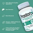 thumbnail image 7 of Prostorix – Prostate Supplement for Men - Natural Prostate Support Helps Reduce Frequent Urination & Promote Overall Prostate Health – Saw Palmetto, Beta-Sitosterol, Flowens Cranberry Powder & More, 7 of 7