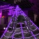 thumbnail image 3 of Halloween Best Decorations, Scary 48" Large Spider, 196" Large Spider Web, 20pcs Small Spiders And 8 Modes Of String Lights For Christmas, Halloween, Thanksgiving Day Gift, 3 of 5