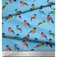 thumbnail image 1 of Soimoi Blue Cotton Duck Fabric Rufous Flycatcher Bird Decor Fabric Printed Yard 44 Inch Wide, 1 of 3
