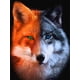 thumbnail image 1 of 30 × 40 Pintura de diamante de zorro astuto de dos colores (30 * 40, 1 pieza) Pintura de diamante Kit completo de pintura de diamante bordado en cuentas Pasta de diamante Accesorios de paisaje Pintura, 1 of 5