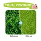 thumbnail image 4 of Xihbxyly Liquidación de Verano Microscopio Portal de Bolsillo Mano para Niños, Juguet Microscopio 80 Aumentos para Exploración Científica, para Campar, Investigarten El Patio, 4 of 7